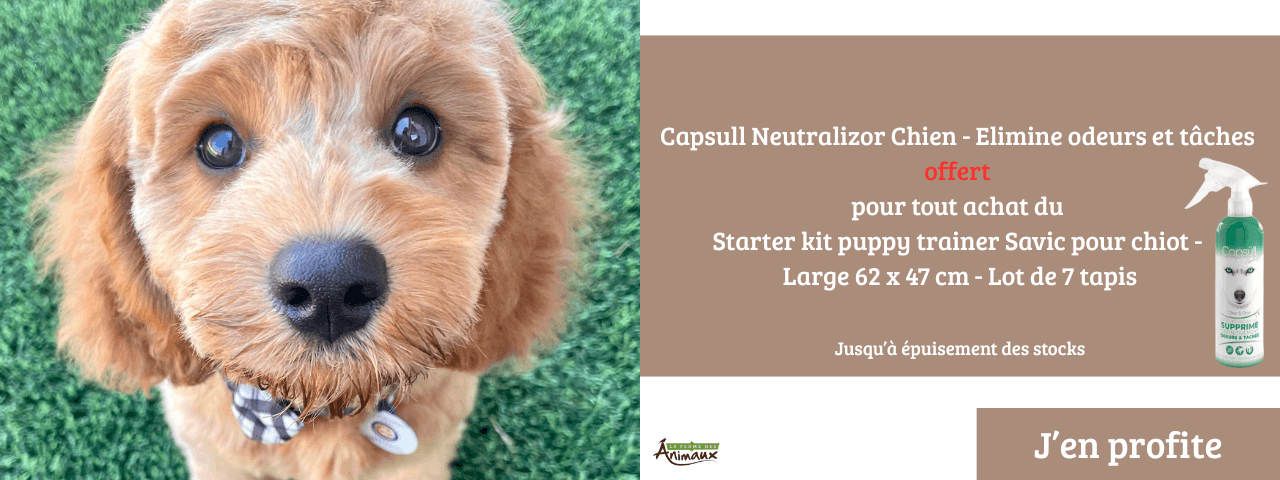 Capsull Neutralizor Chien - Elimine odeurs et tâches offert pour tout achat du Starter kit puppy trainer Savic pour chiot - Large 62 x 47 cm - Lot de 7 tapis