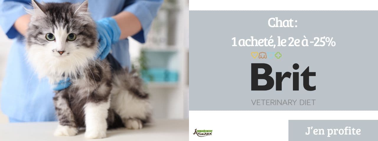 Brit Vet Chat 1 acheté, le 2e à -25%