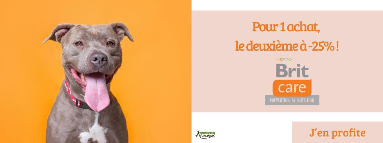 Brit Care Chien 1 acheté, le 2e à -25%