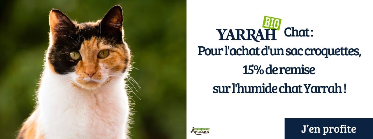 Yarrah Chat : Pour l'achat d'un sac croquettes, 15% de remise sur l'humide chat Yarrah !