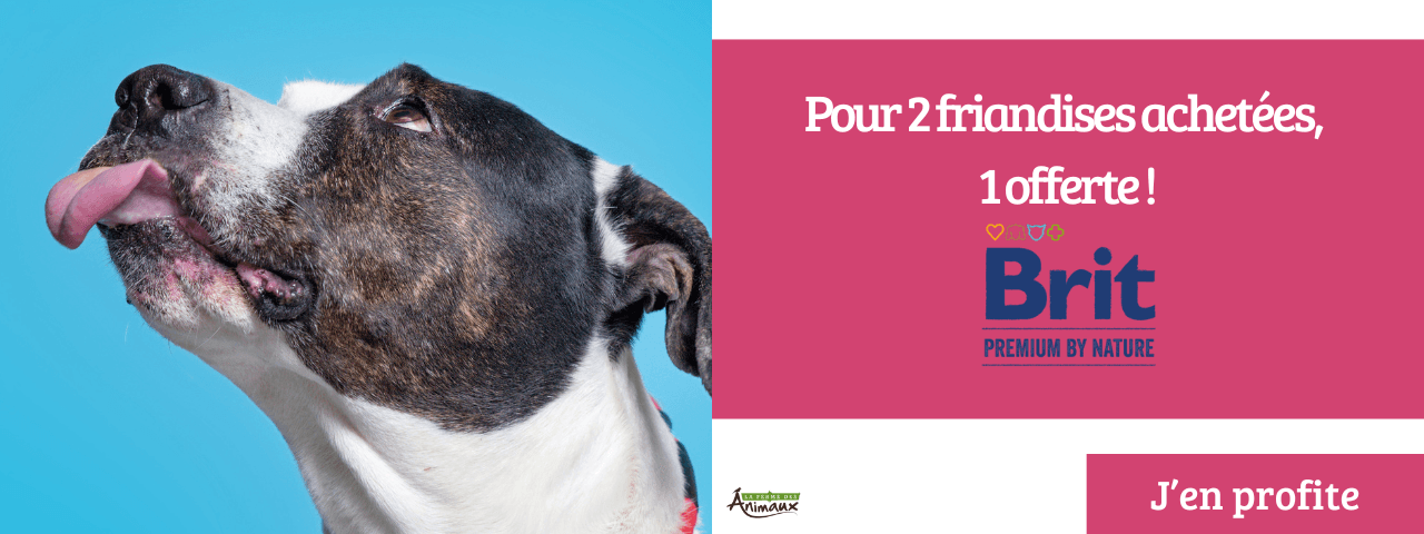 Friandises pour chien BRIT : 2 achetées = 1 offerte !