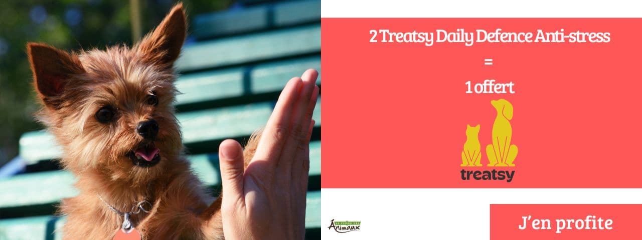 Treatsy : 3+1 sur le référence Anti-stress