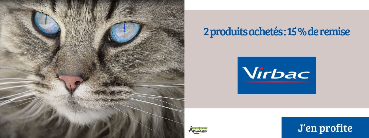 1 produit acheté : 10 % de remise / 2 produits achetés : 15 % de remise