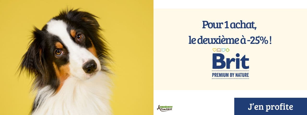 Pour 1 achat, le deuxième à -25% !