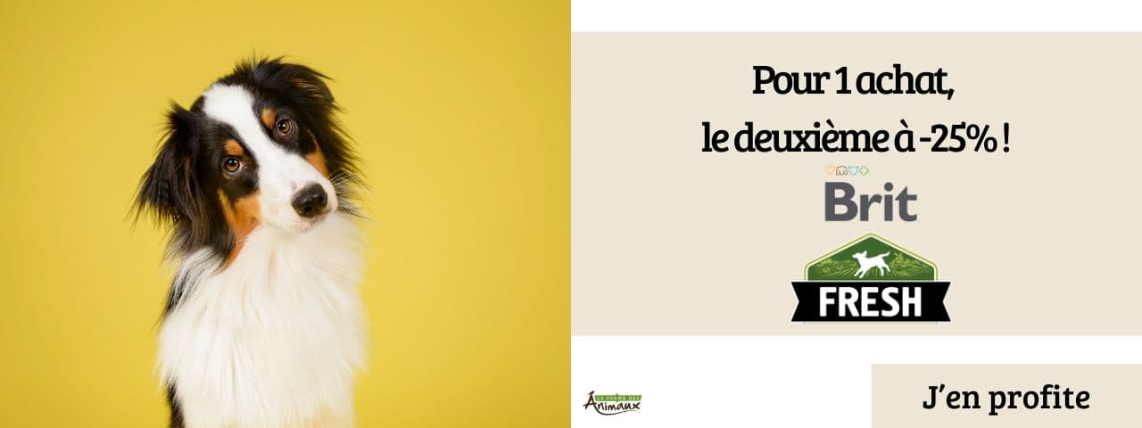 Brit Fresh Chien : 1 acheté, le 2e à -25% !