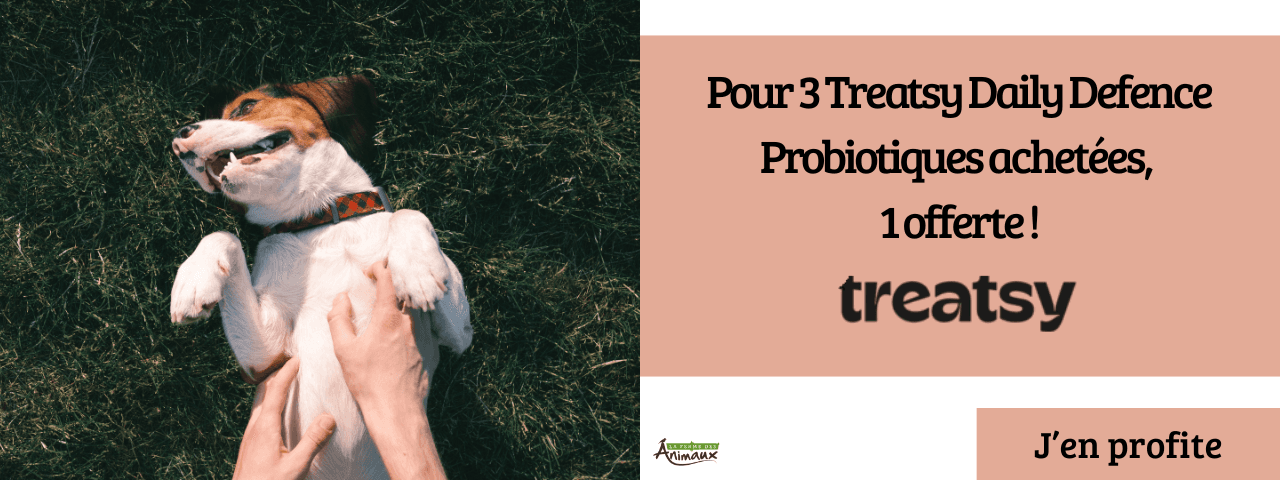 Pour 3 Treatsy Daily Defence Probiotiques achetées,  1 offerte !