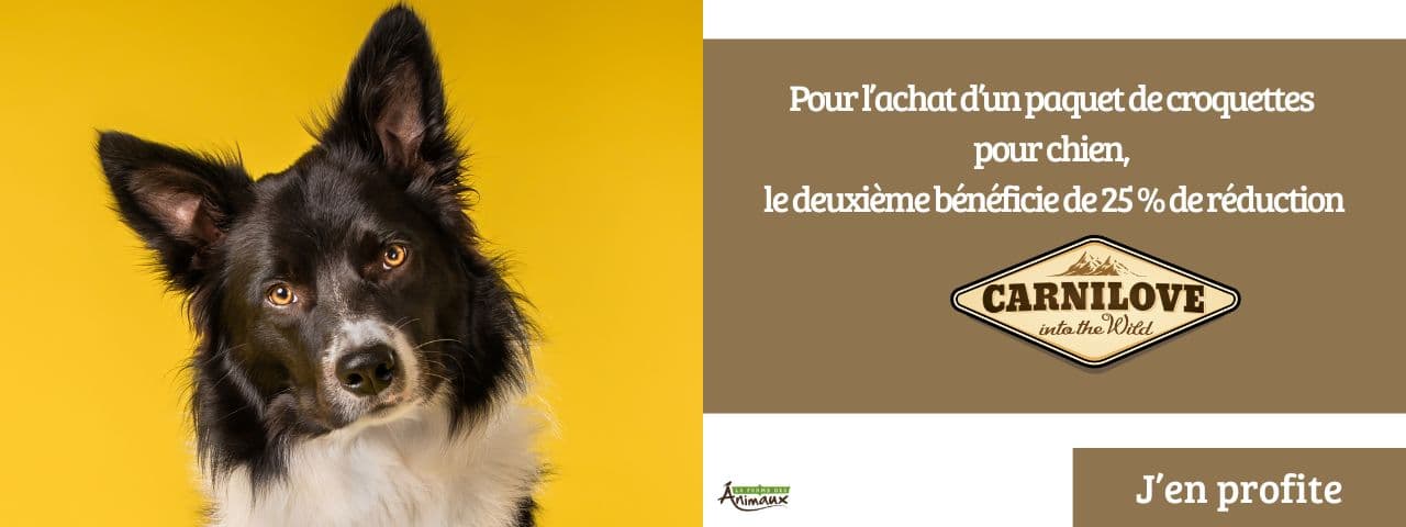 Carnilove : pour l’achat d’un paquet de croquettes pour chien, le deuxième bénéficie de 25 % de réduction.