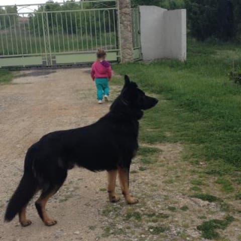 Ulysse
