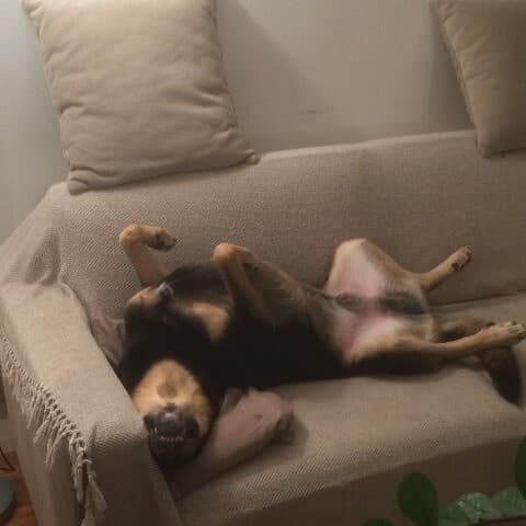 Elliot