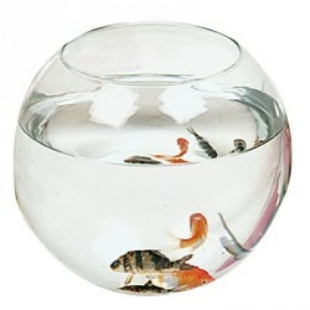 Aquarium Boule Zolux