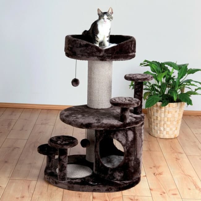 Arbre à chat Emil
