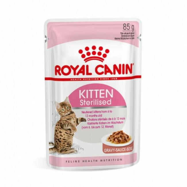 Royal Canin Urinary S/O Nourriture diététique pour chats Saveur poulet 48 x  100 g : : Animalerie