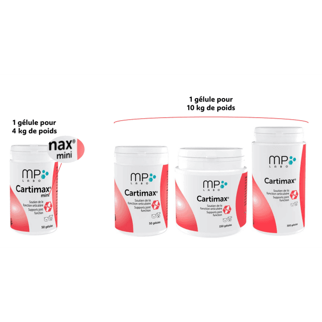 Cartimax