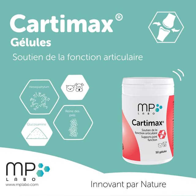 Cartimax