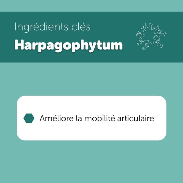 Cartimax