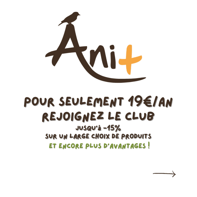 Club Ani+