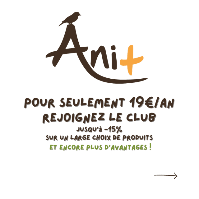 Club Ani+