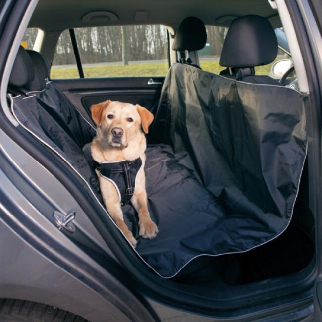 Accessoires de transport pour chien en voiture