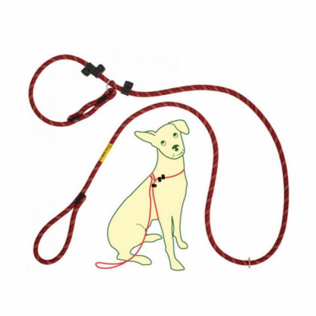 Harnais nylon Canicross pour chien. Sellerie en NYLON : laisses, colliers,  muselières, accouples, longes, harnais pour chien et chiot