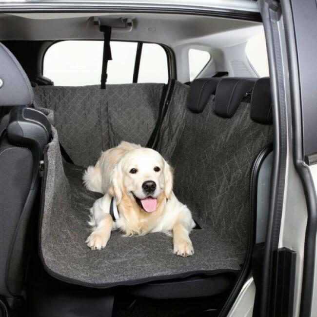 Tapis de protection pour chien pour voiture, polyester, 140 x 100