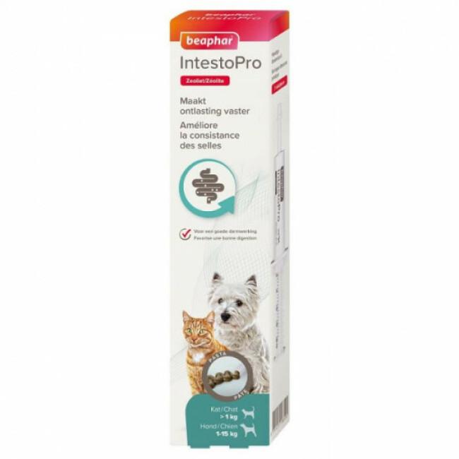 GPS Weenect Dogs 2 pour chien Weenect - Vétorino