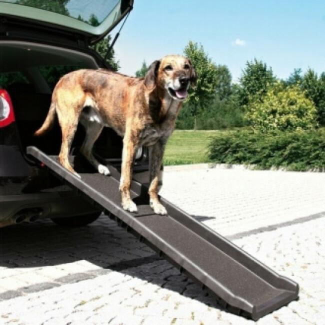 Rampe pour chien et chat - Escalier pour voiture/lit/canapé pliable en bois  Petwalk - Rampe d