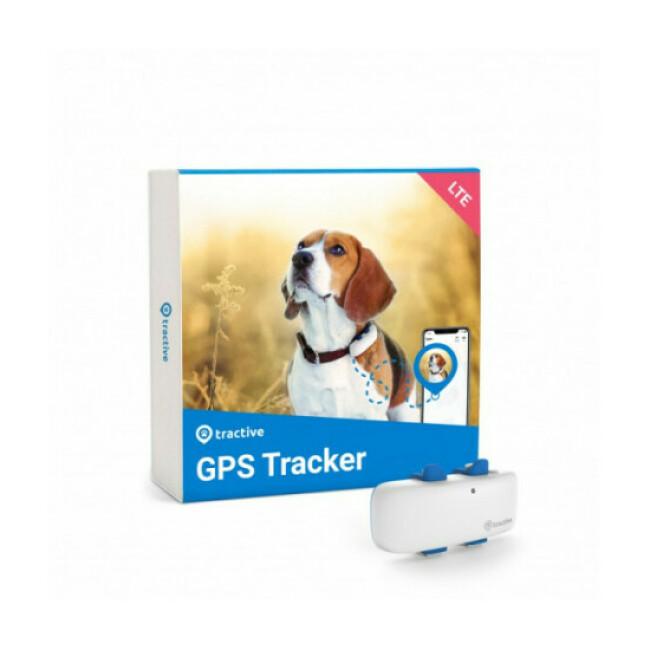 Tractive GPS CAT 4 - Collier GPS chat avec suivi d'activité - Bleu