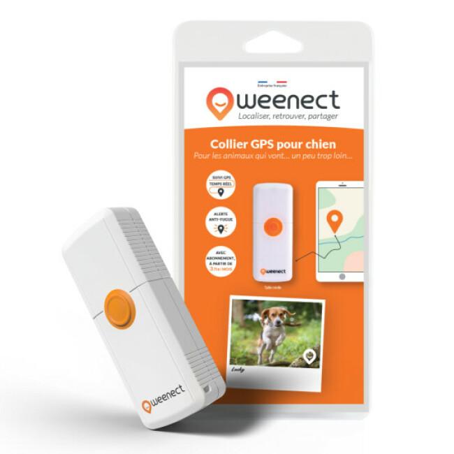 Collier GPS Weenect Pets pour chien