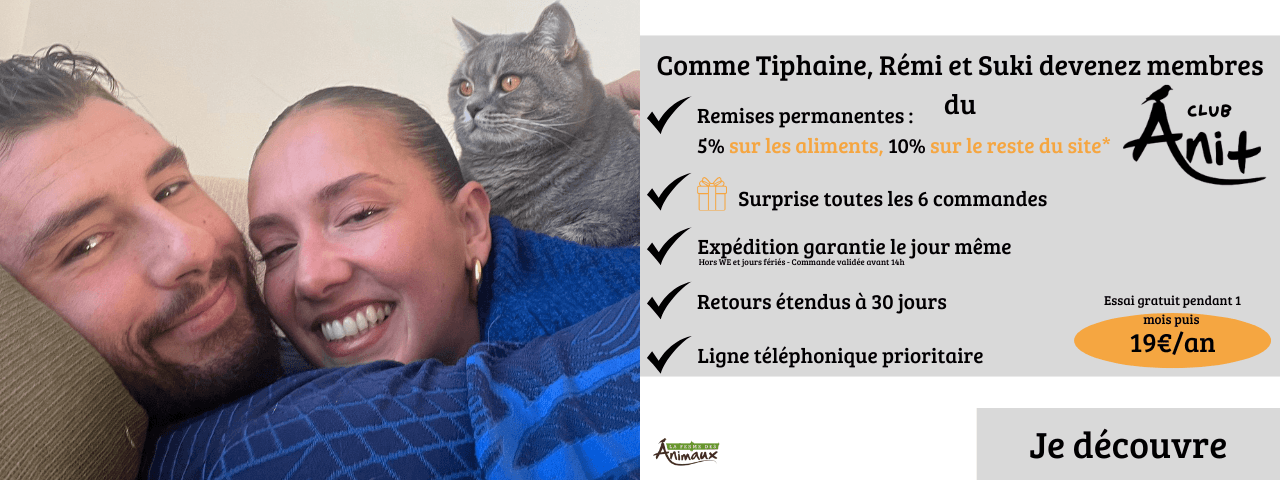 Ani + chat Tiph