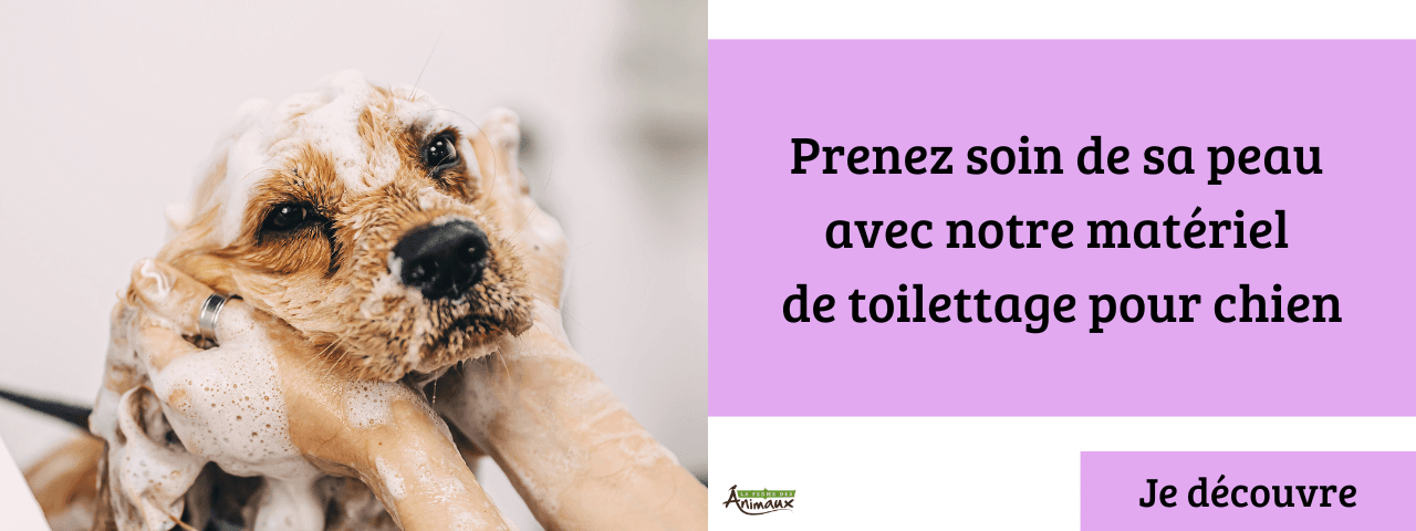 MEA Matériel de toilettage pour chien