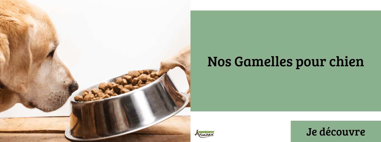 Nos Gamelles pour chien