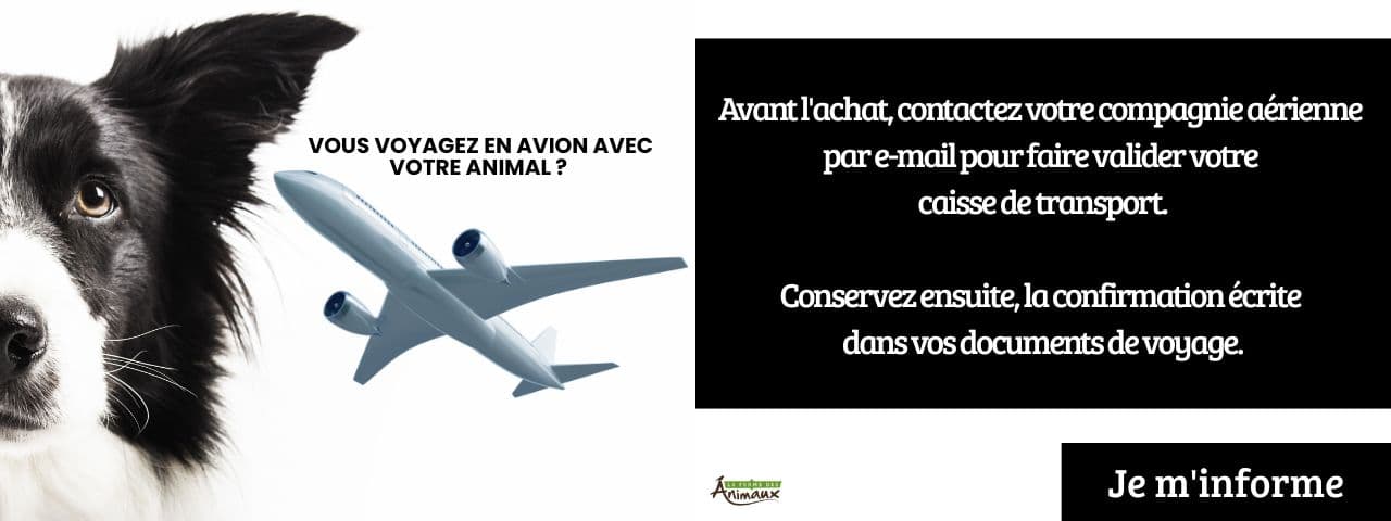 Vous voyagez en avion avec votre animal ?