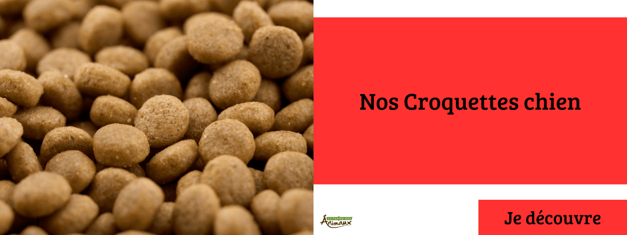 MEA Croquettes chien