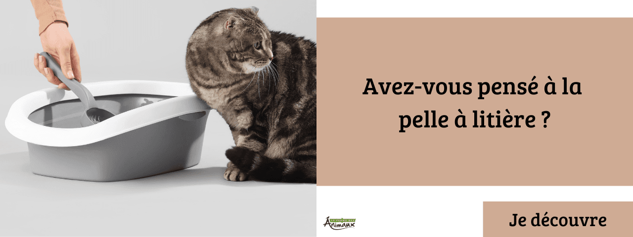Pelle à litière chat