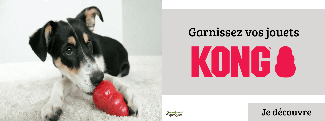 Garnissez vos jouets KONG chien