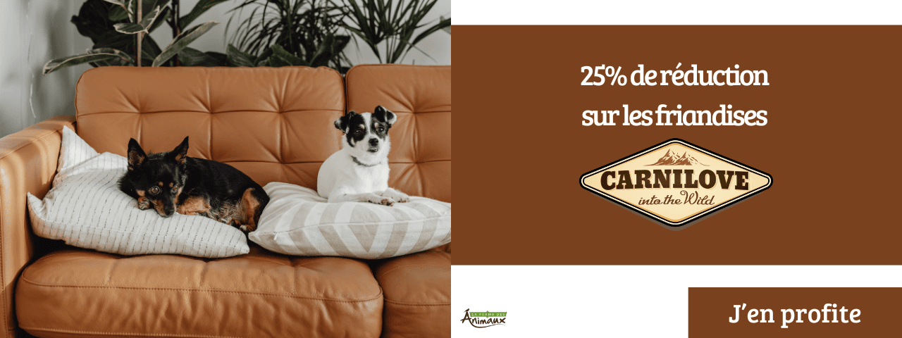 25% de réduction : Carnilove Friandises