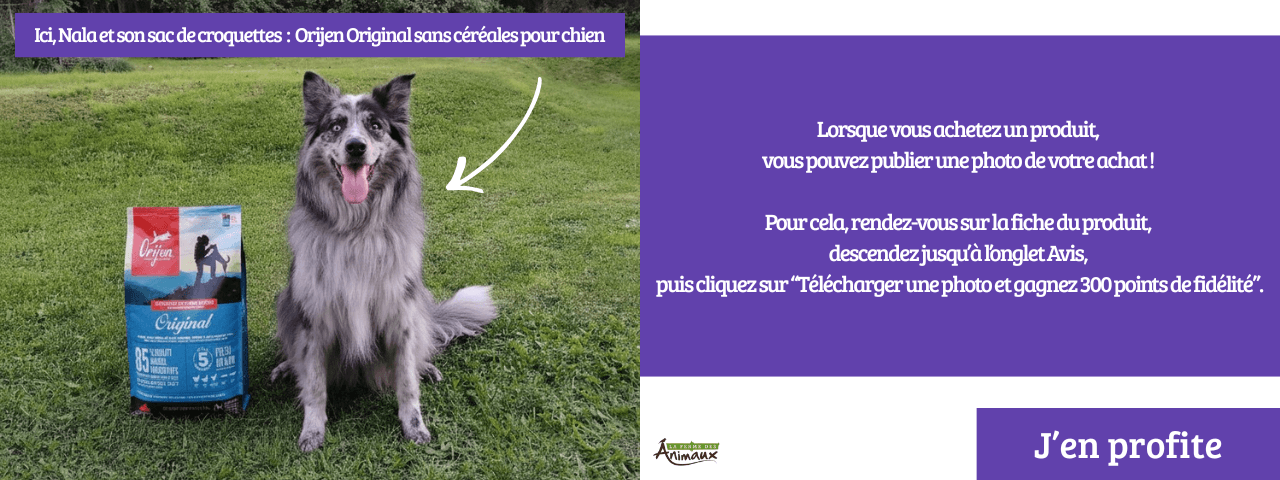 Photos avis client chien et chat
