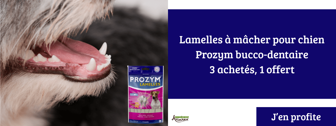 Lamelles à mâcher pour chien Prozym bucco-dentaire 3 achetés, 1 offert