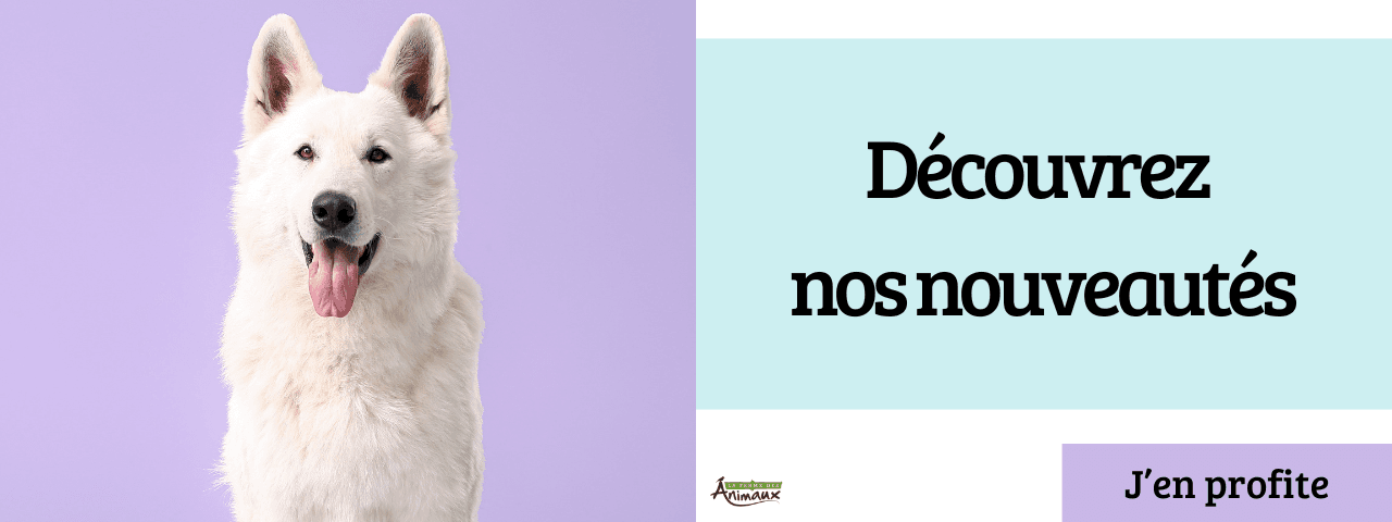 Découvrez nos nouveautés