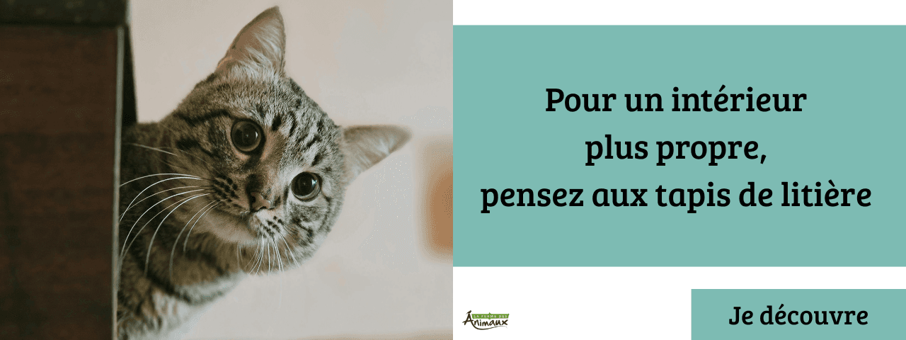 Tapis de litière pour chat