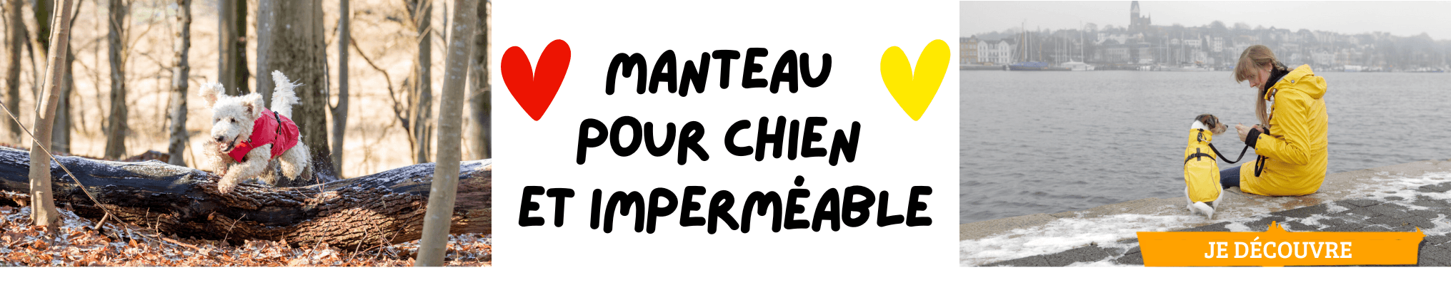 Manteau pour chien et imperméable