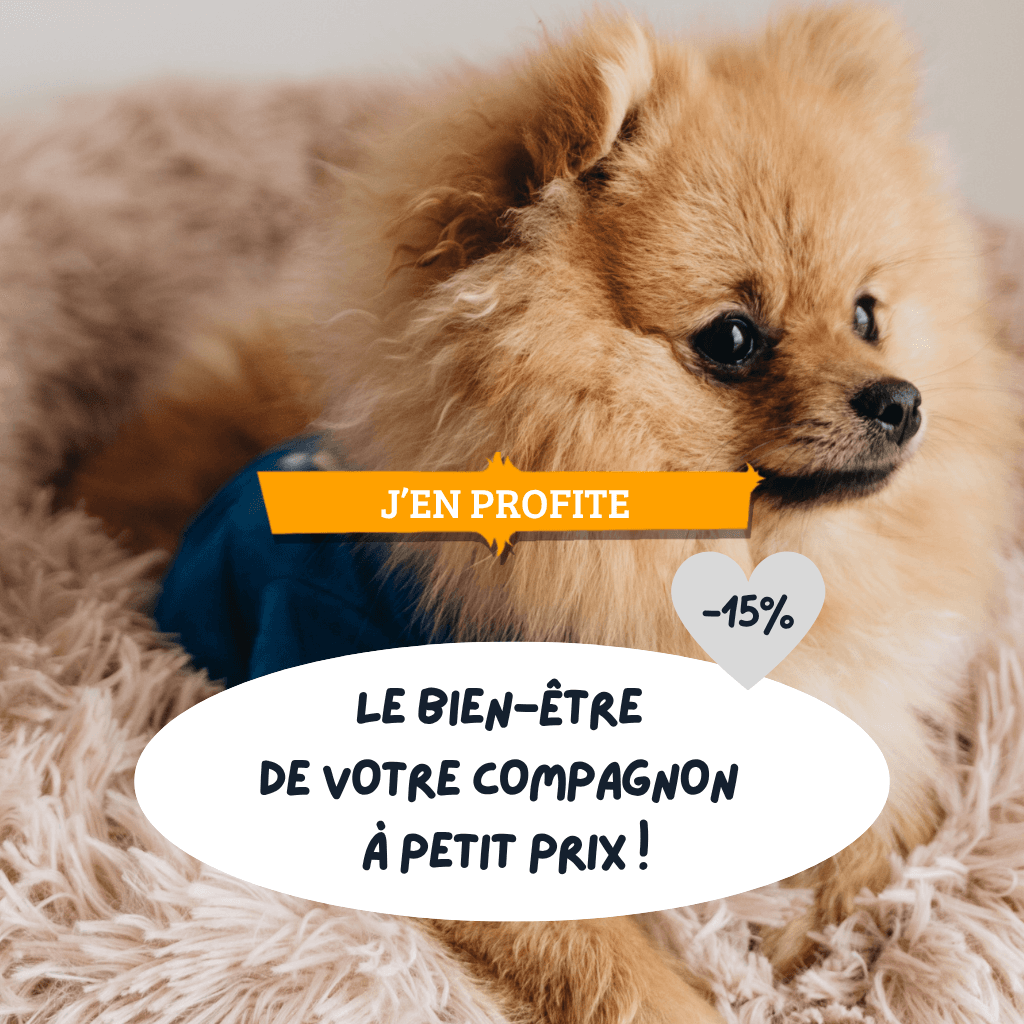 Le bien-être de votre compagnon à petit prix ! -15% sur une sélection Confort : peluches, doudous, tapis, coussins …