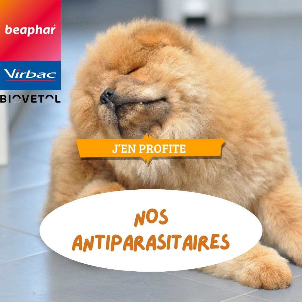 nos Antiparasitaires - LFDA 2026