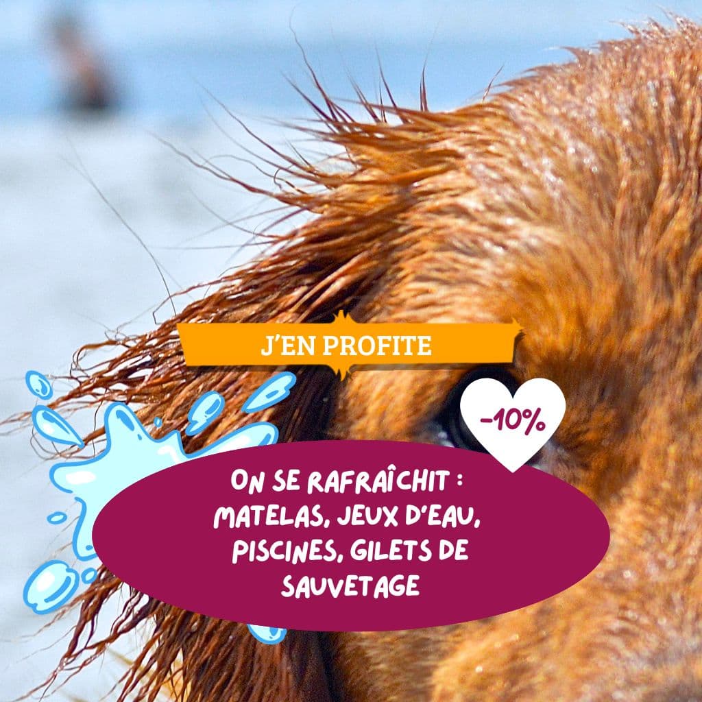 On se rafraîchit : profitez de -10 % sur une sélection d’articles d’été !