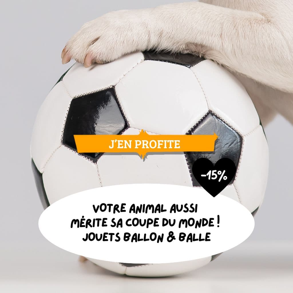 Votre animal aussi mérite sa Coupe du Monde ! Jouets ballon & balle à -15% !