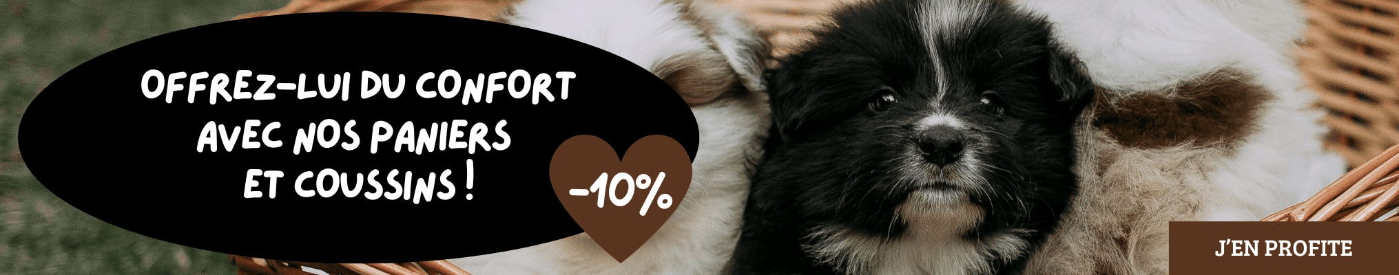 Offrez-lui du confort avec nos paniers et coussins, sélection à -10% !