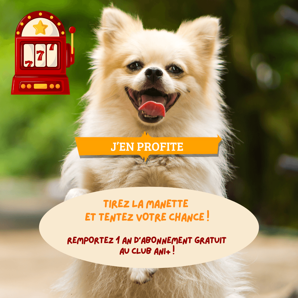 Tirez la manette  et tentez votre chance ! remportez 1 an d’abonnement gratuit  au Club Ani+ !