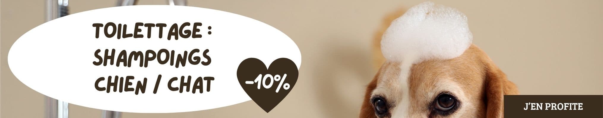 Toilettage :  shampoings  chien / chat