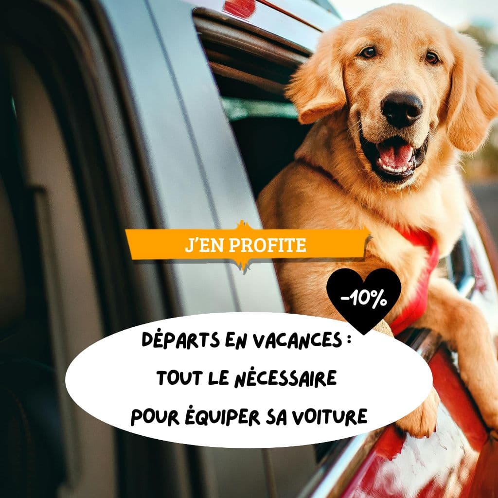 Départs en vacances :  tout le nécessaire  pour équiper sa voiture
