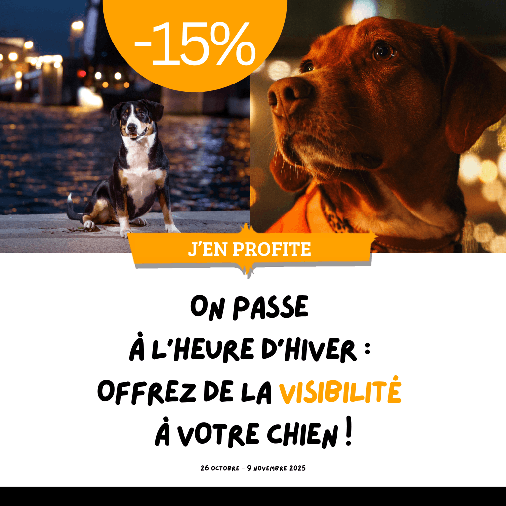 On passe à l’heure d’hiver : offrez de la visibilité  à votre chien !
